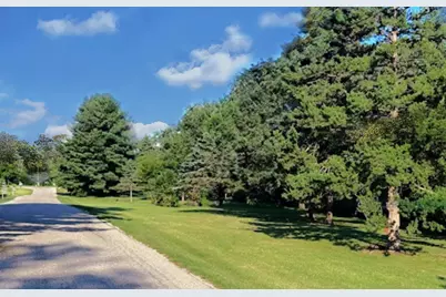 496 Rulison Drive, Loda, IL 60948 - Photo 98