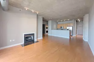 1305 S Michigan Ave, Chicago, IL 60605 - Photo 2