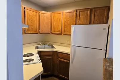1722 S Washington Street #1722, Naperville, IL 60565 - Photo 6
