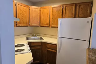 1722 S Washington St, Naperville, IL 60565 - Photo 6