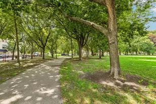 1320 W Grenshaw St, Chicago, IL 60607 - Photo 44