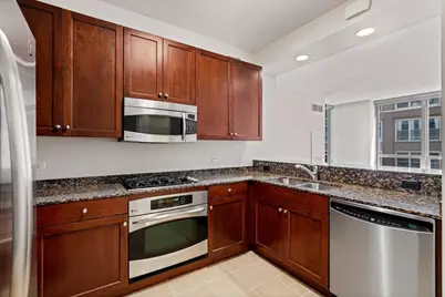 600 N Lake Shore Drive #507, Chicago, IL 60611 - Photo 8