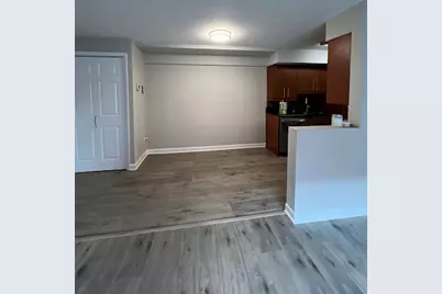 3848 W 47th Street #1SW, Chicago, IL 60632 - Photo 20