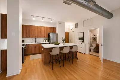 1631 S Michigan Avenue #502, Chicago, IL 60616 - Photo 4