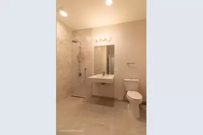 5217 S Bishop Street, Chicago, IL 60609 - Photo 24