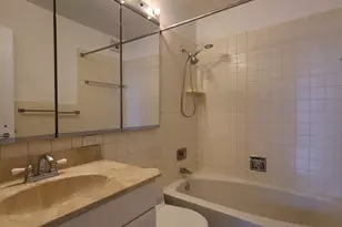1310 N Ritchie Ct, Chicago, IL 60610 - Photo 18