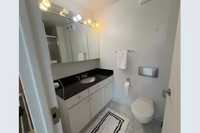 405 N Wabash Avenue #4704, Chicago, IL 60611 - Photo 16