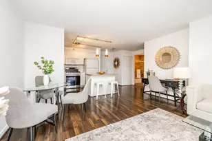 545 N Dearborn St, Chicago, IL 60654 - Photo 26