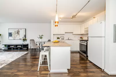 545 N Dearborn Street #W1409, Chicago, IL 60654 - Photo 36