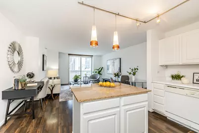 545 N Dearborn Street #W1409, Chicago, IL 60654 - Photo 6