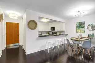 211 E Ohio St, Chicago, IL 60611 - Photo 8