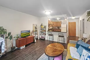 211 E Ohio St, Chicago, IL 60611 - Photo 4