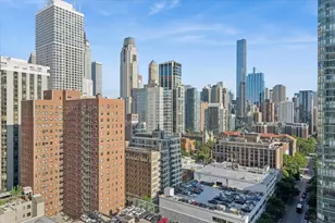 1122 N Clark St, Chicago, IL 60610 - Photo 10