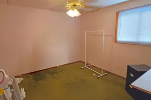 7960 S Kenneth Ave, Chicago, IL 60652 - Photo 18