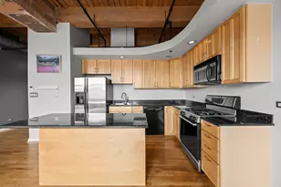 2310 S Canal St, Chicago, IL 60616 - Photo 8
