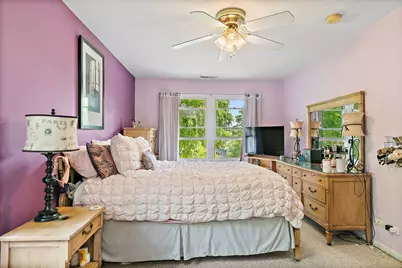 910 Division Street, Barrington, IL 60010 - Photo 44