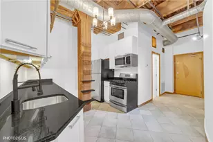 732 S Financial St, Chicago, IL 60605 - Photo 20