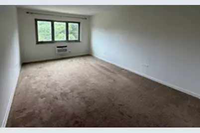 401 S Grove Avenue #3A, Oak Park, IL 60302 - Photo 6