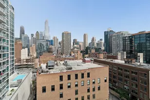 340 W Superior St, Chicago, IL 60654 - Photo 18
