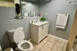 10806 S Avenue O, Chicago, IL 60617 - Photo 30