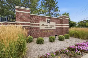 3534 Crosswater Ct, Elgin, IL 60124 - Photo 44