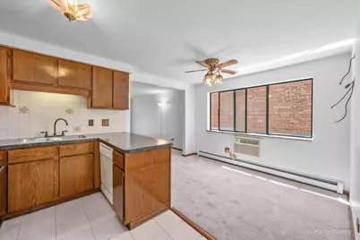 5312 W Windsor Avenue #2W, Chicago, IL 60630 - Photo 10