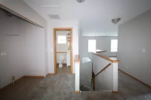 1011 Greenleaf Dr, Joliet, IL 60436 - Photo 22