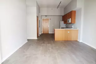 1250 S Indiana Ave, Chicago, IL 60605 - Photo 6