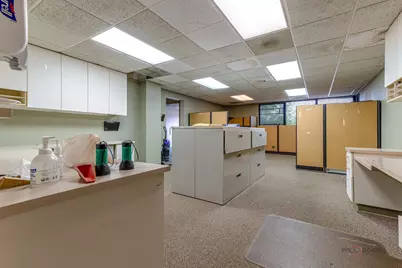 60 S Greenleaf Street, Gurnee, IL 60031 - Photo 10