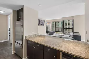 30 E Huron St, Chicago, IL 60611 - Photo 12