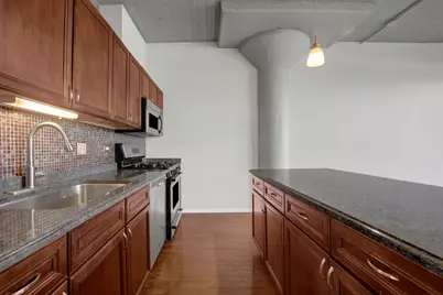 1525 S Sangamon Street #504, Chicago, IL 60608 - Photo 10