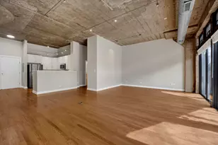 1071 W 15th St, Chicago, IL 60608 - Photo 6