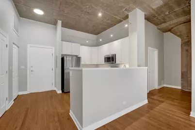 1071 W 15th Street #109, Chicago, IL 60608 - Photo 4