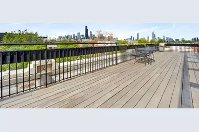 1071 W 15th Street #109, Chicago, IL 60608 - Photo 28
