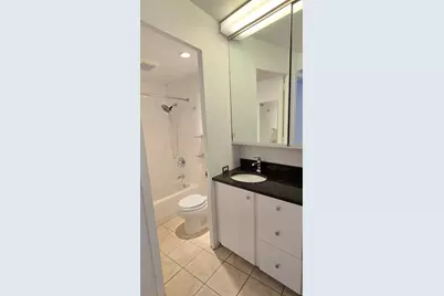 300 N State Street #5009, Chicago, IL 60654 - Photo 12