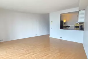 300 N State St, Chicago, IL 60654 - Photo 6