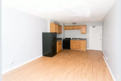 7333 N Ridge Boulevard #111, Chicago, IL 60645 - Photo 8