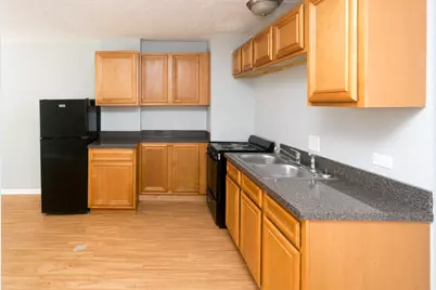 7333 N Ridge Boulevard #111, Chicago, IL 60645 - Photo 4