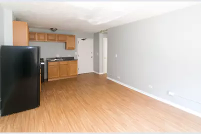 7333 N Ridge Boulevard #111, Chicago, IL 60645 - Photo 10