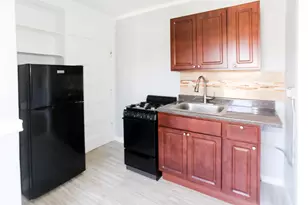 3263 W Wrightwood Ave, Chicago, IL 60647 - Photo 2