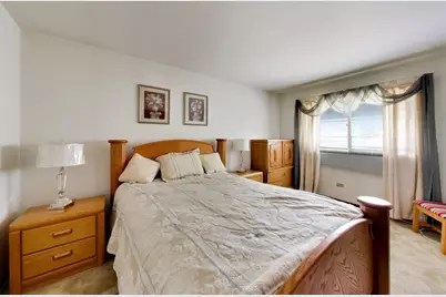 22160 Scott Drive, Richton Park, IL 60471 - Photo 14