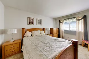 22160 Scott Dr, Richton Park, IL 60471 - Photo 14