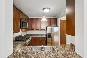 420 E Waterside Dr, Chicago, IL 60601 - Photo 10