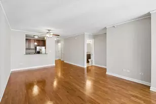 420 E Waterside Dr, Chicago, IL 60601 - Photo 8
