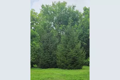 835 N Front Street, Monticello, IL 61856 - Photo 22