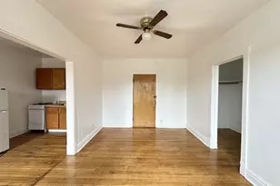 2432 N Linden Pl, Chicago, IL 60647 - Photo 12