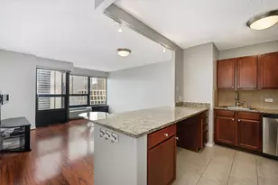 30 E Huron St, Chicago, IL 60611 - Photo 2