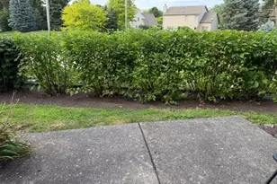 14 Dellwood Ct, Algonquin, IL 60102 - Photo 18