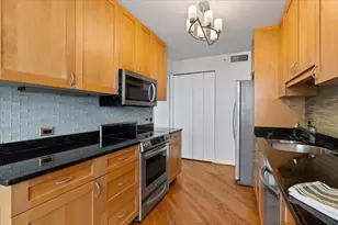 400 E Ohio St, Chicago, IL 60611 - Photo 12