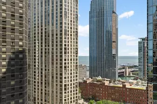 400 E Ohio St, Chicago, IL 60611 - Photo 26